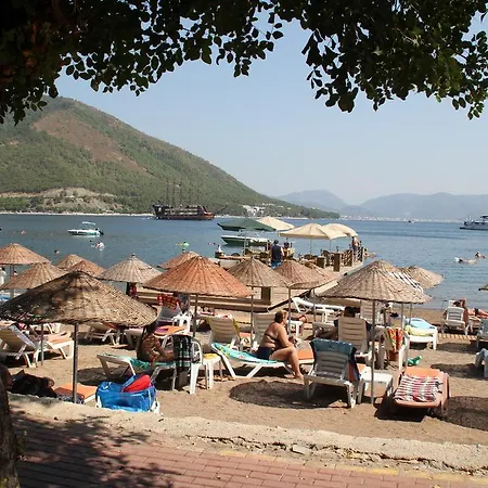Отель Golmar
